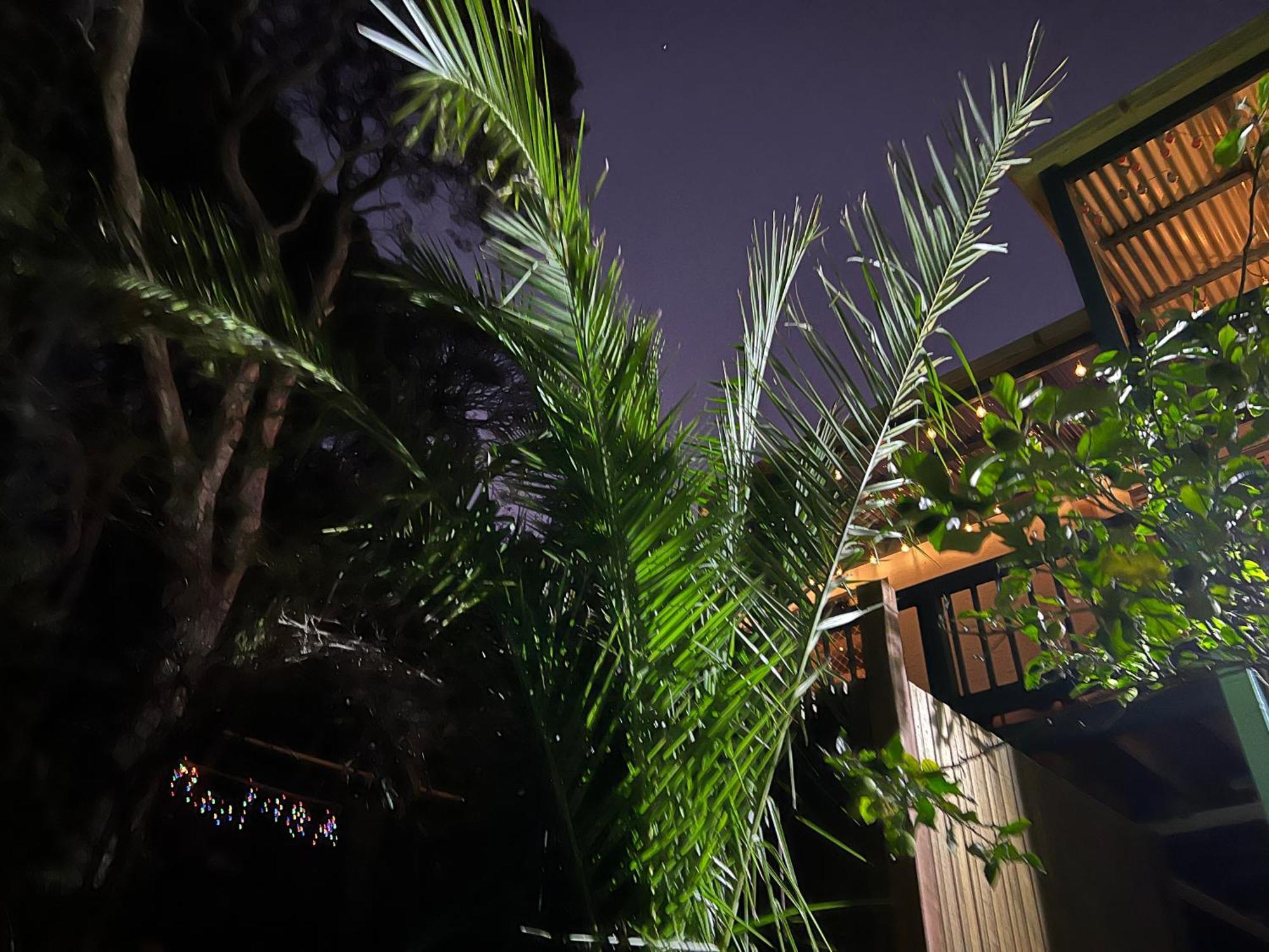 Nest On A Crest Villa ราย ภายนอก รูปภาพ