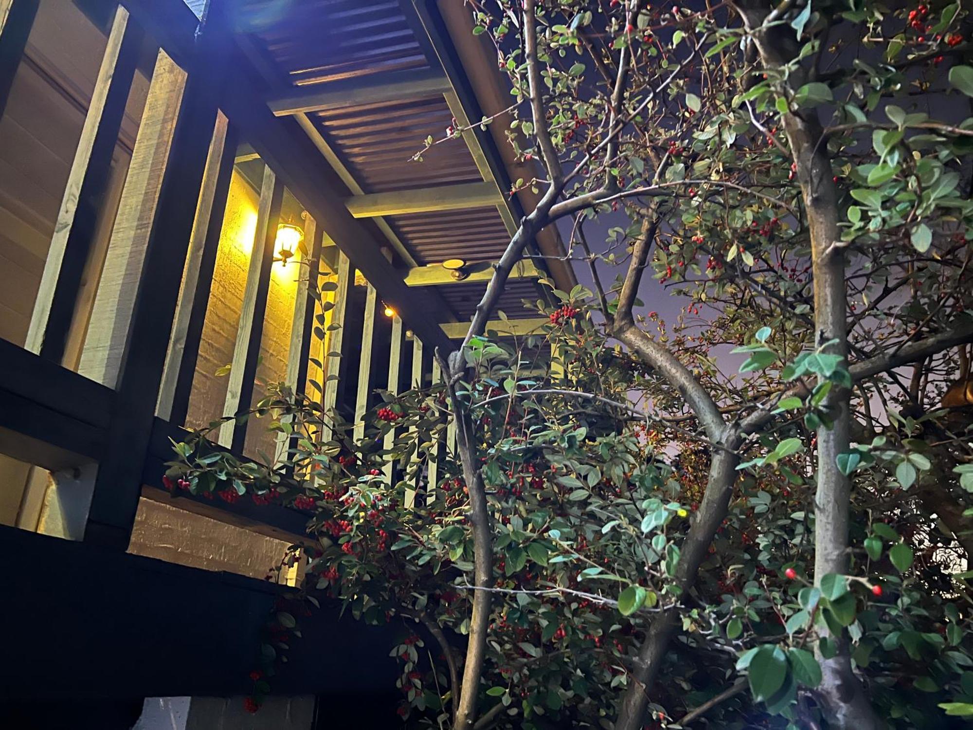 Nest On A Crest Villa ราย ภายนอก รูปภาพ